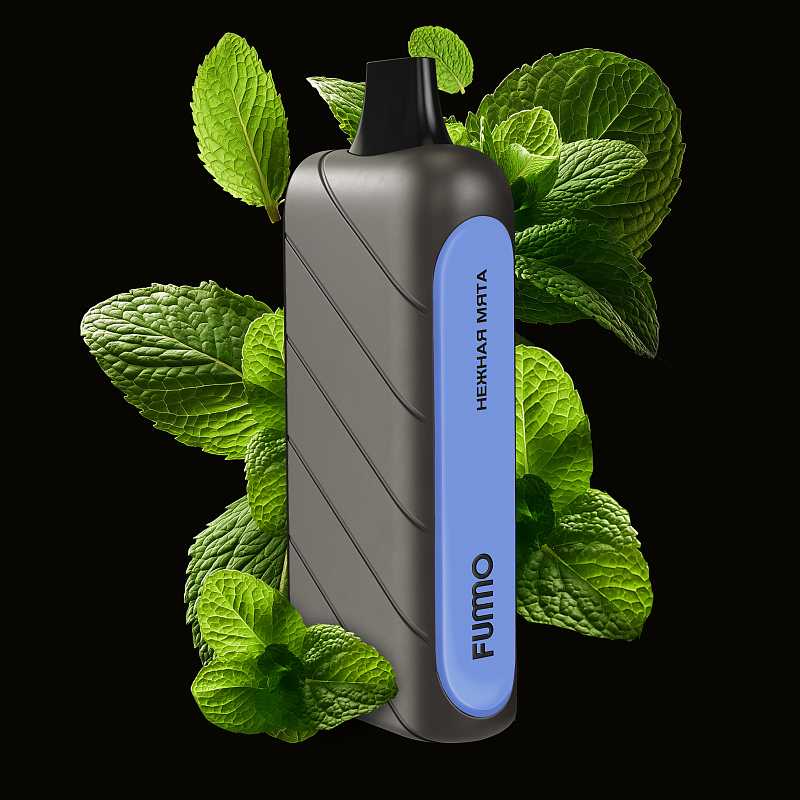 Нежная мята